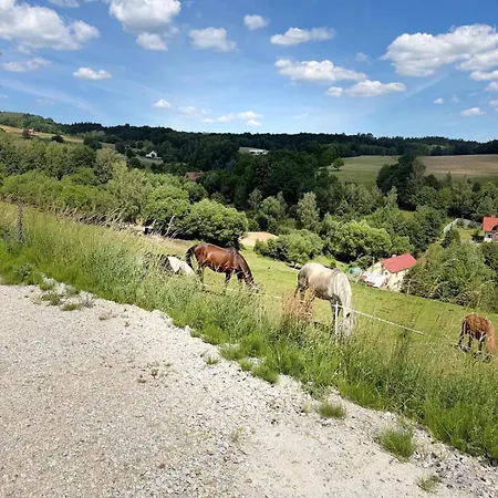 Zajecze * Zagórze Śląskie